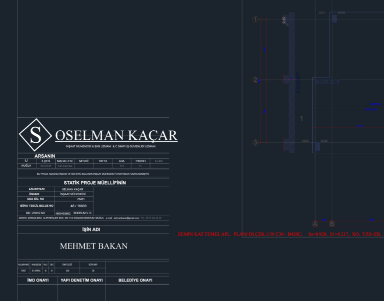Structural foundation and column application plan CAD drawing with raft foundation sections and reinforcement tables.