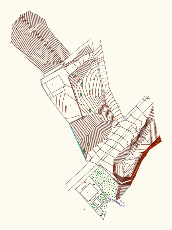 Topographic Site Survey DWG