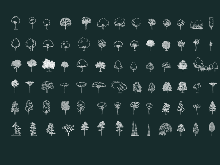 77 diverse 2D tree elevation CAD blocks including deciduous, evergreen, and palm species for architectural drawings.