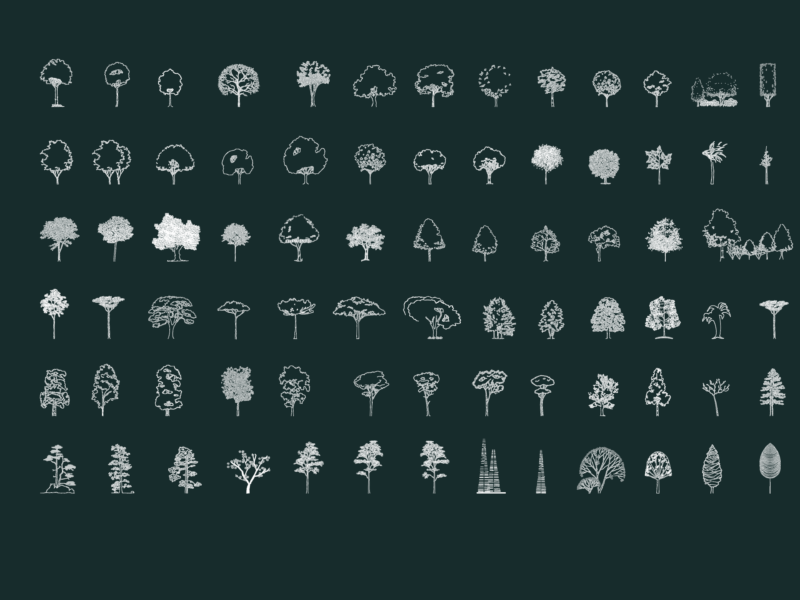 77 Different Tree Elevation CAD Blocks for Landscaping Projects
