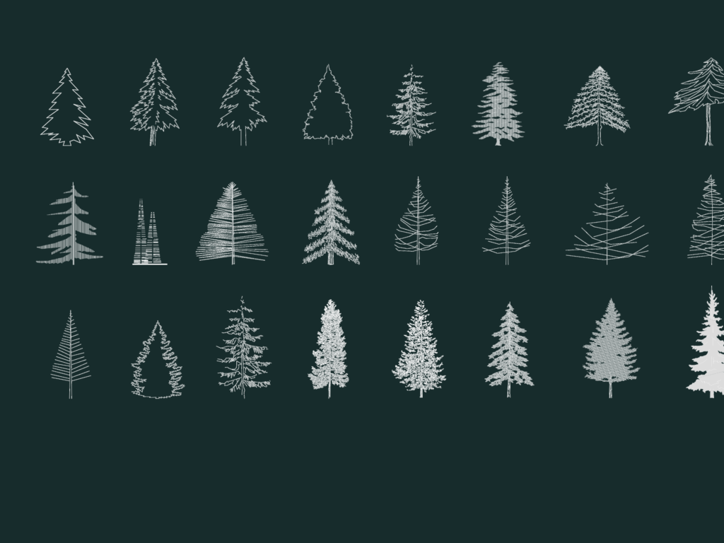 24 2D conifer tree elevation blocks showing various pine and fir silhouettes for landscape design sections.