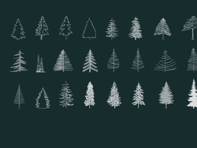 24 2D conifer tree elevation blocks showing various pine and fir silhouettes for landscape design sections.