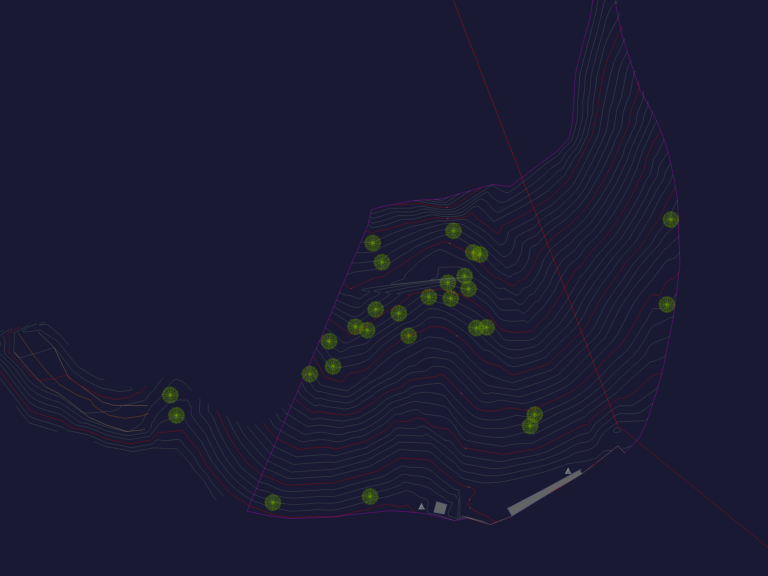 Topographic CAD plan of a lot in El Peñol featuring contour lines, tree locations, and property boundaries.