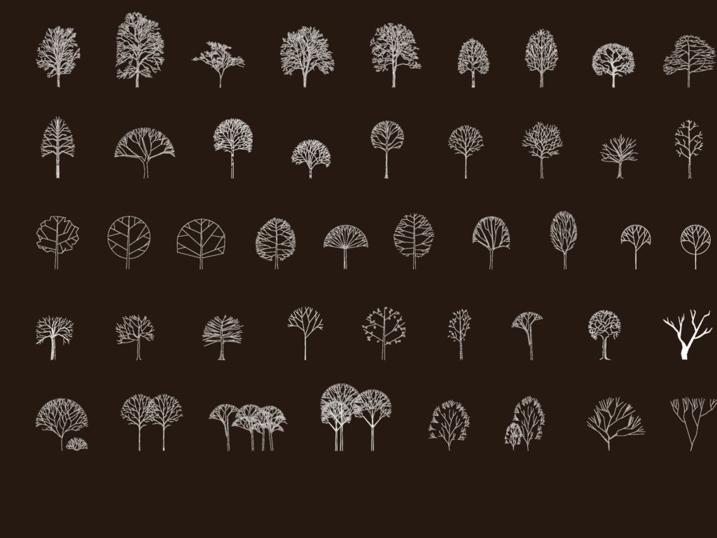 Collection of 2D CAD elevation drawings of various deciduous tree species and silhouettes for landscape architecture.