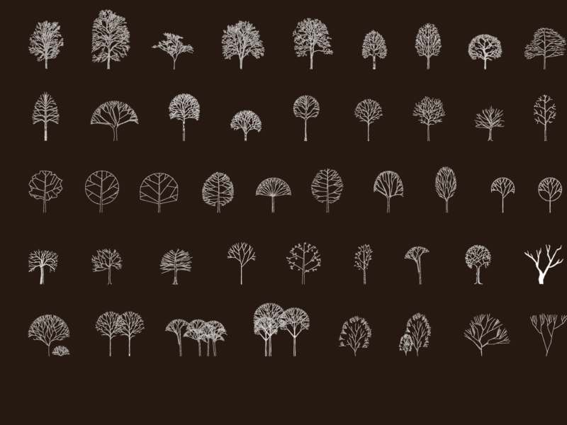 Barcelona landscape deciduous tree elevation blocks dwg
