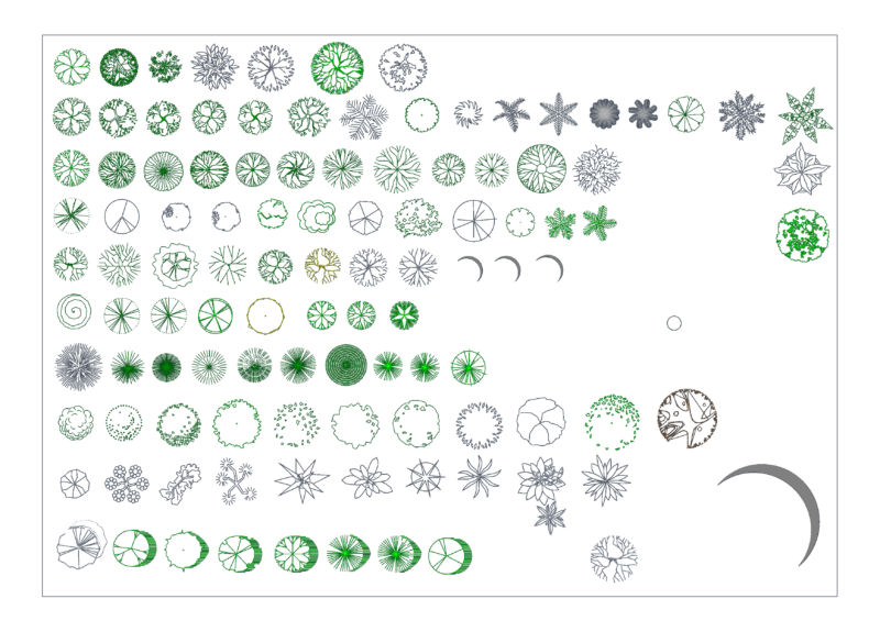 Trees in plan view