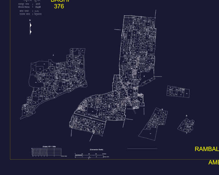 Cadastral map of village Baghi 376 showing individual land plot divisions, boundary lines, and scale conversions.