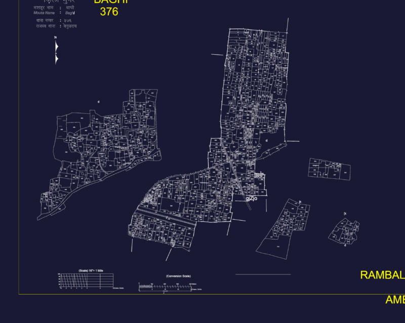 Village cadastral map showing plot divisions for Baghi 376