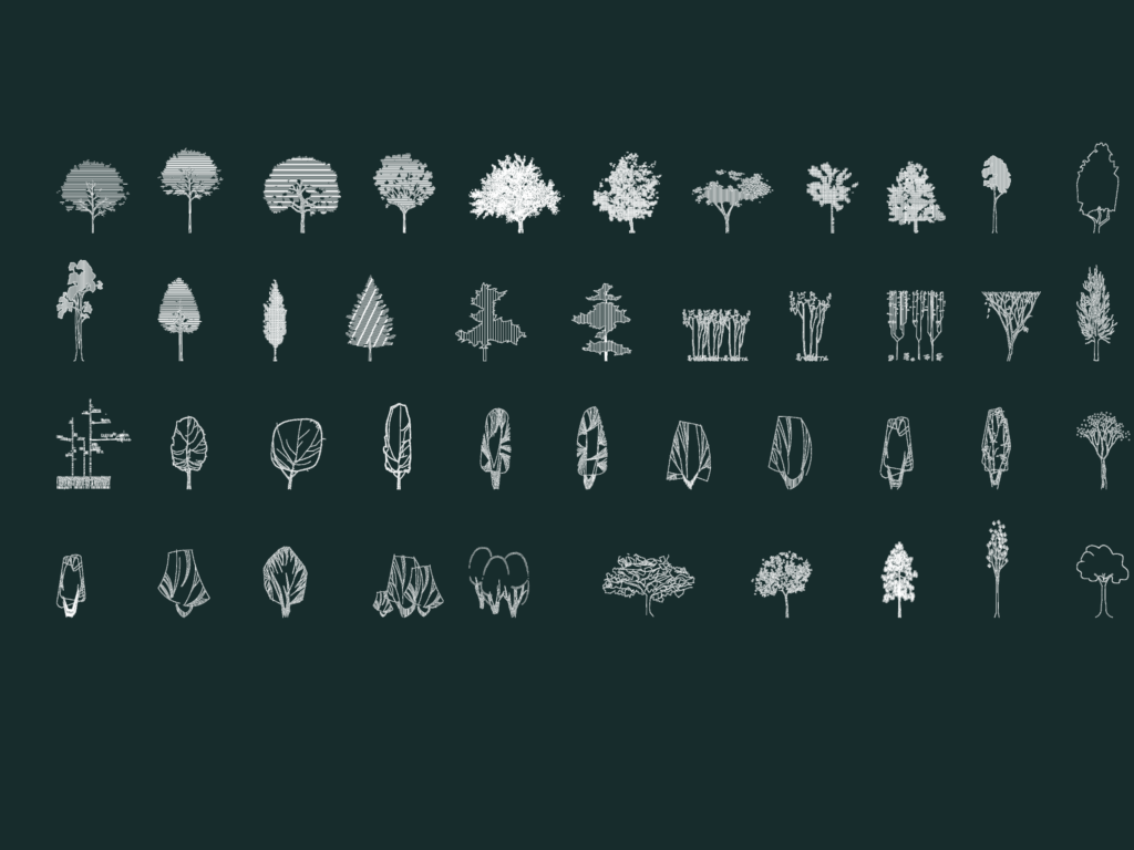 Architectural tree elevation drawings including pine, deciduous, and silhouette styles for landscape CAD.
