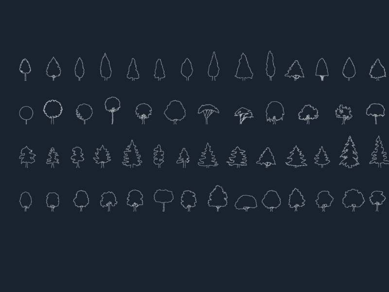 Collection Of Fifty Four Simple Tree Elevation CAD Blocks
