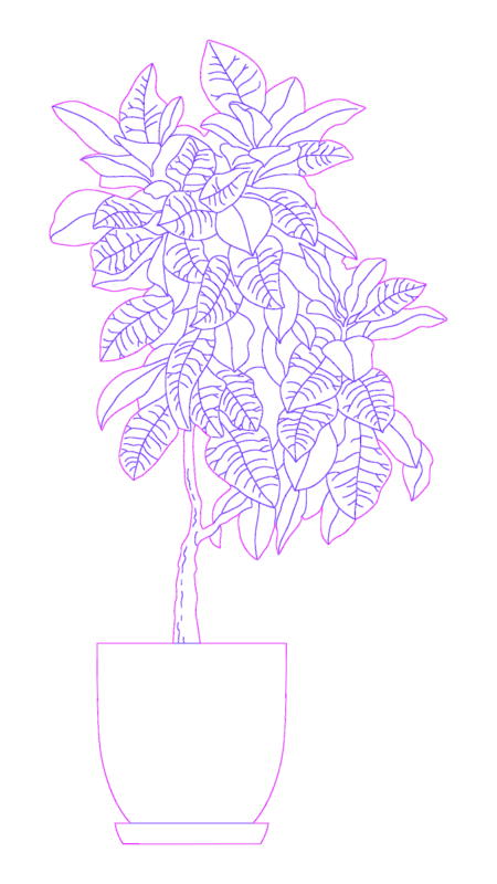 Croton Plant DWG