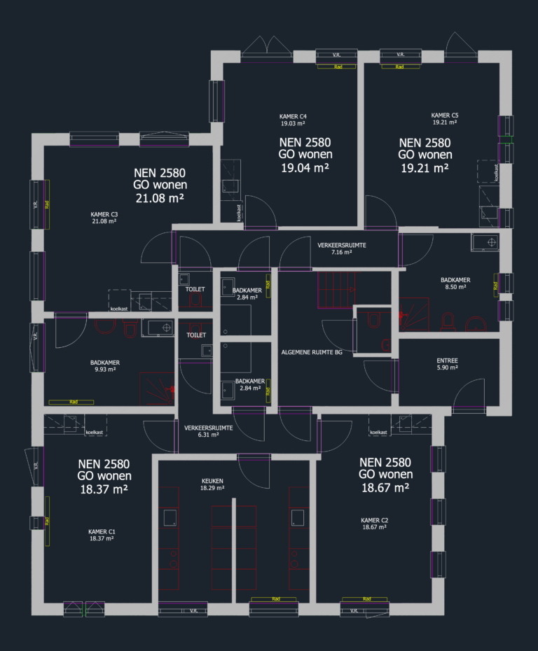 NEN 2580 apartment floor plan for units C1 through C5 including area calculations, room layouts, and utility spaces.