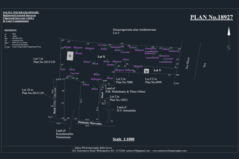 Detailed Land Survey Plan with Tree Inventory and Road Access