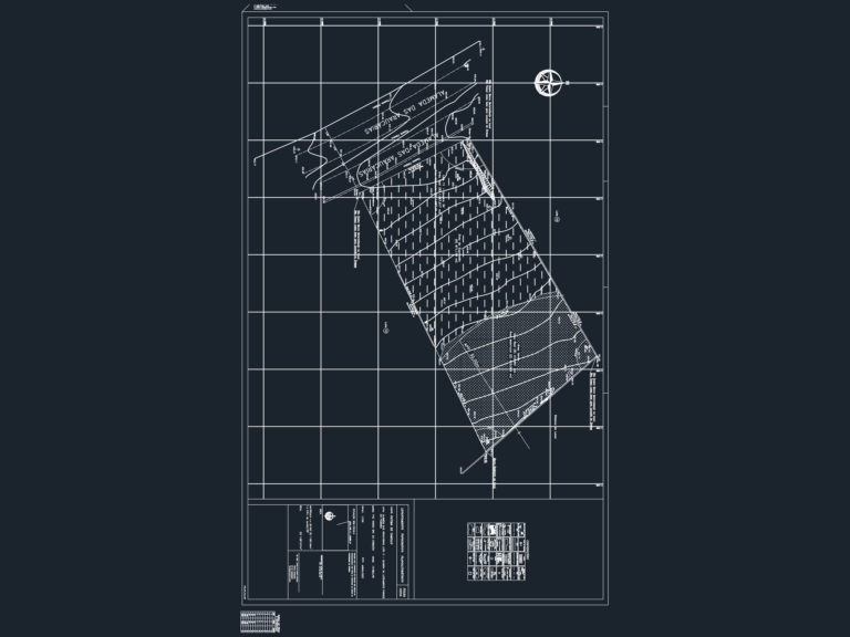 Planialtimetric topographic survey CAD drawing showing site contours, lot boundaries, and residential street names.