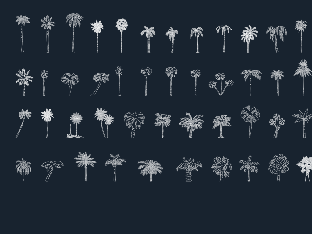 Collection of 45 different palm tree elevation drawings for landscape architecture.