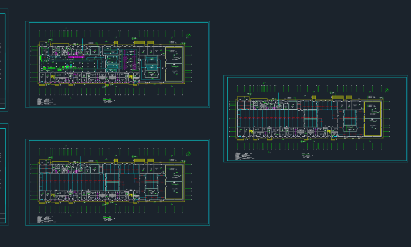Nanjing Delong slaughterhouse layout