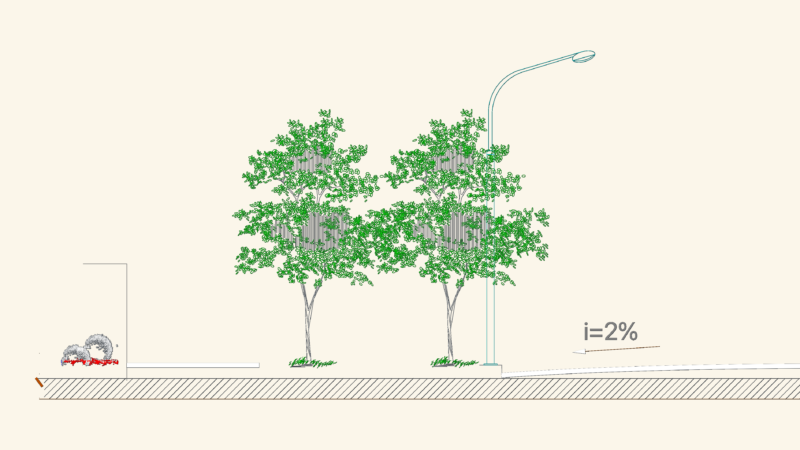 Typical Road Cross Sections DWG with Urban Lighting & Landscaping