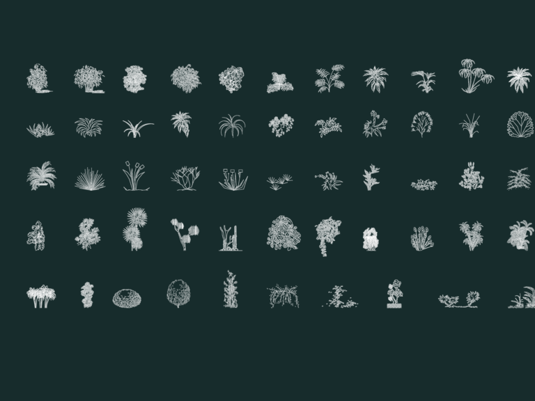 Elevations of 54 different plants and shrubs as CAD blocks for landscape design.