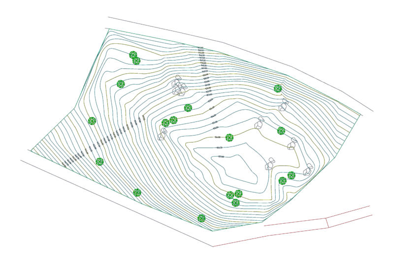 Topographic Survey Site Plan with Contours and Elevations DWG