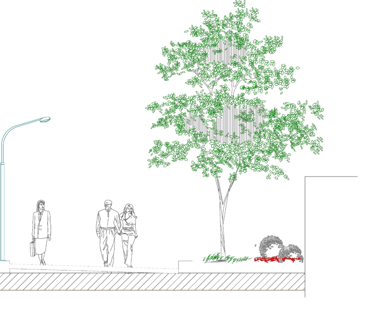 Typical Urban Road Cross Sections with Landscaping and Pedestrian Walkways