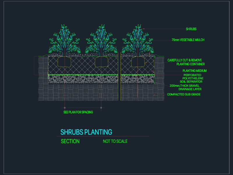 Shrub planting section detail with mulch and drainage layers