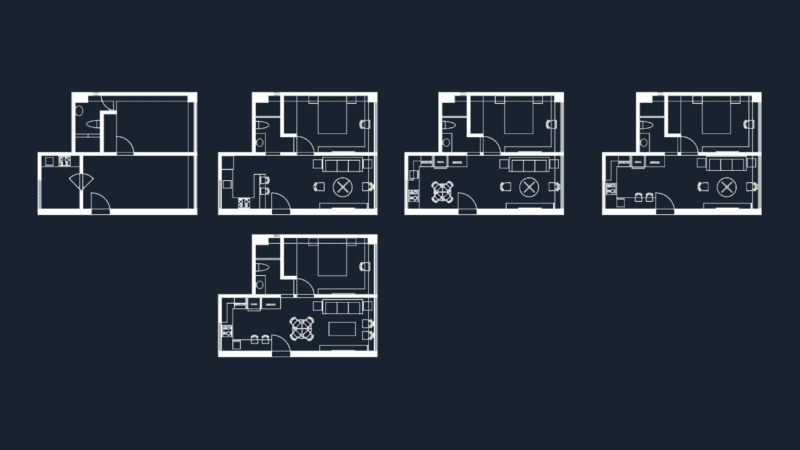1 Bedroom Apartment Layout DWG with Furniture Variations