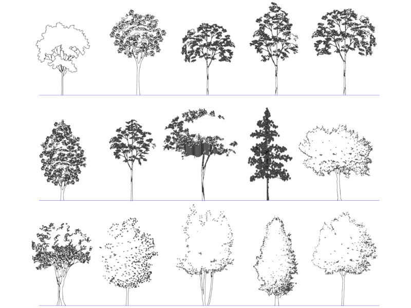 15 DECIDUOUS TREE Elevation CAD Blocks