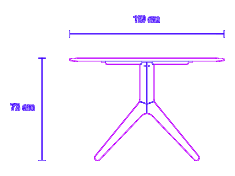 Front and side elevation of a wooden conference table with dimensions 250cm x 110cm.