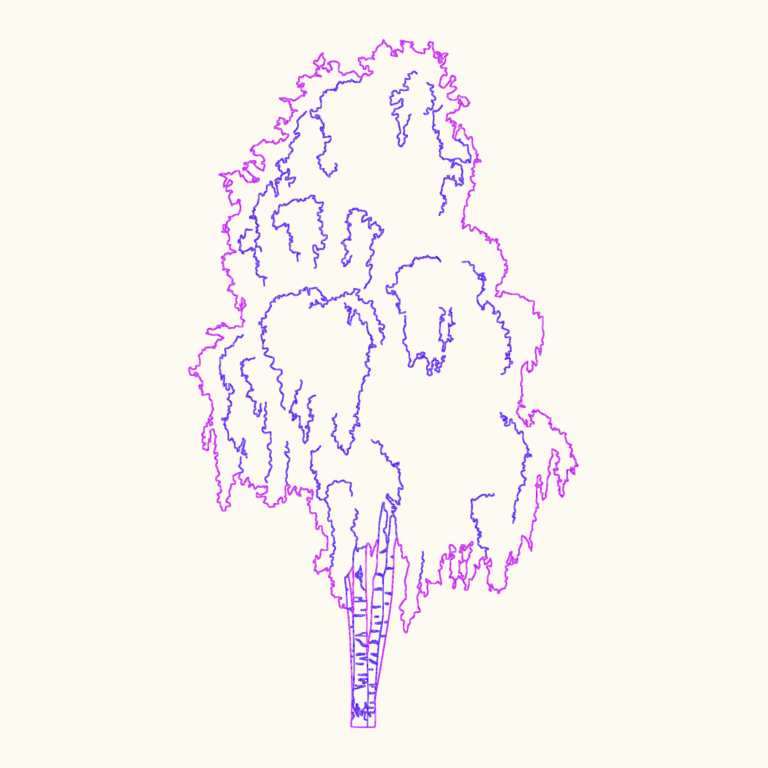 2D CAD elevation of a tall lush birch tree with detailed leaf outlines and trunk texture.