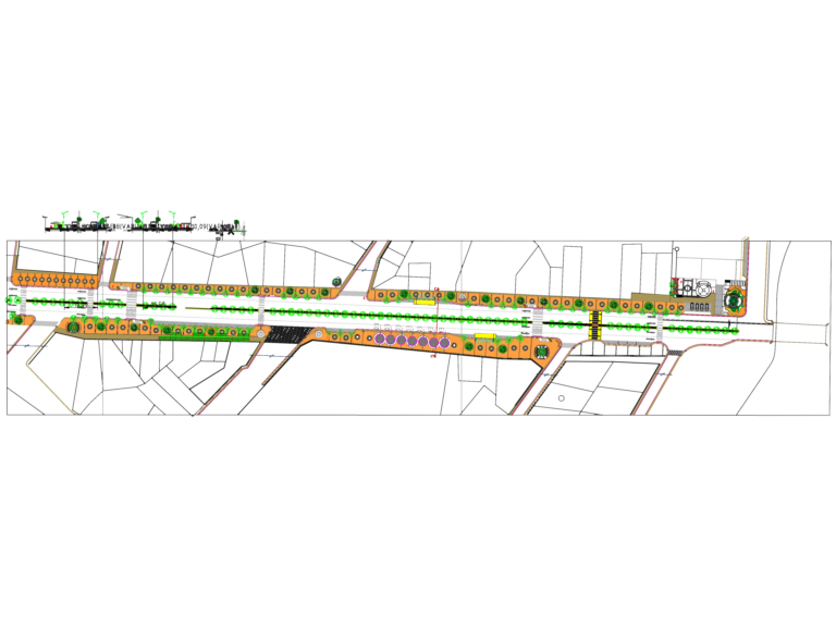 Plan and cross section views of a city street layout with trees, crosswalks, and sidewalks.