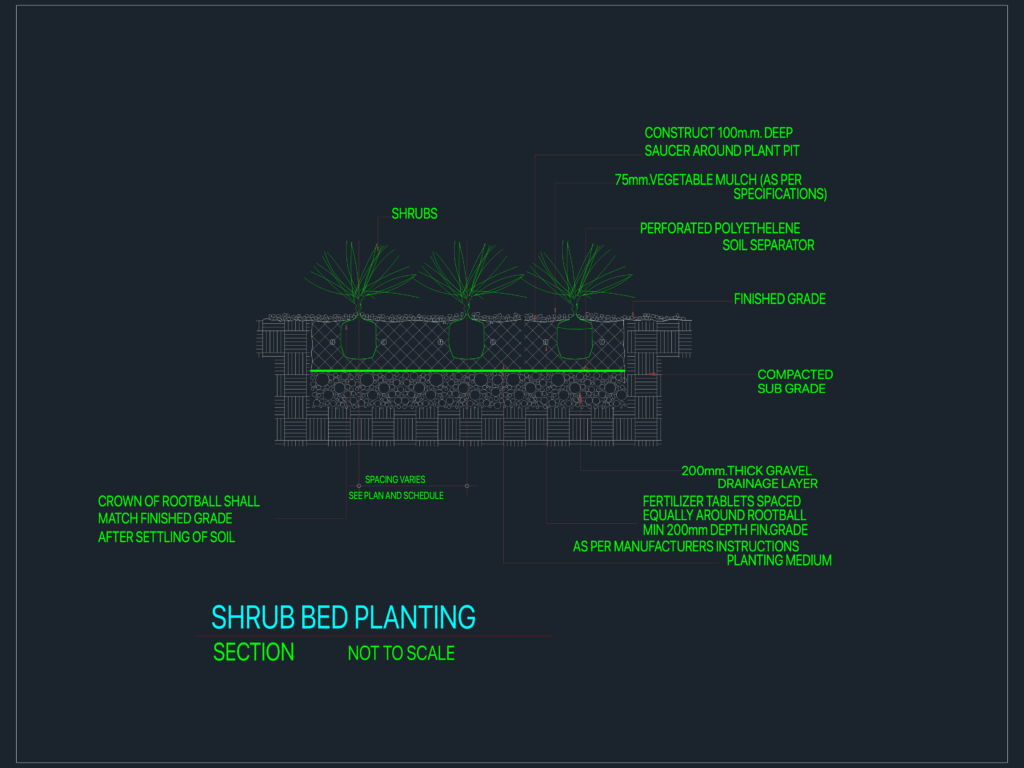 Technical section of a shrub bed planting including rootball, mulch, and gravel drainage layers.