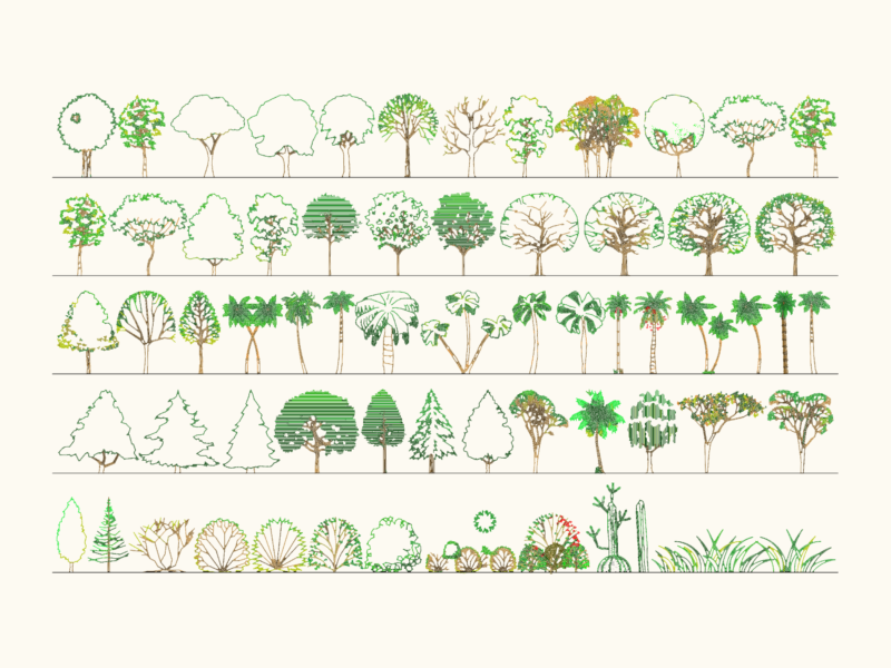 2D Elevation Blocks of Trees Palms Shrubs and Garden Plants