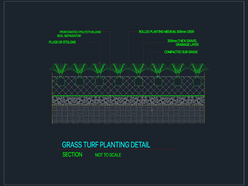Grass Turf Planting Detail