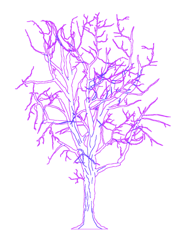Tree Without Leaves DWG