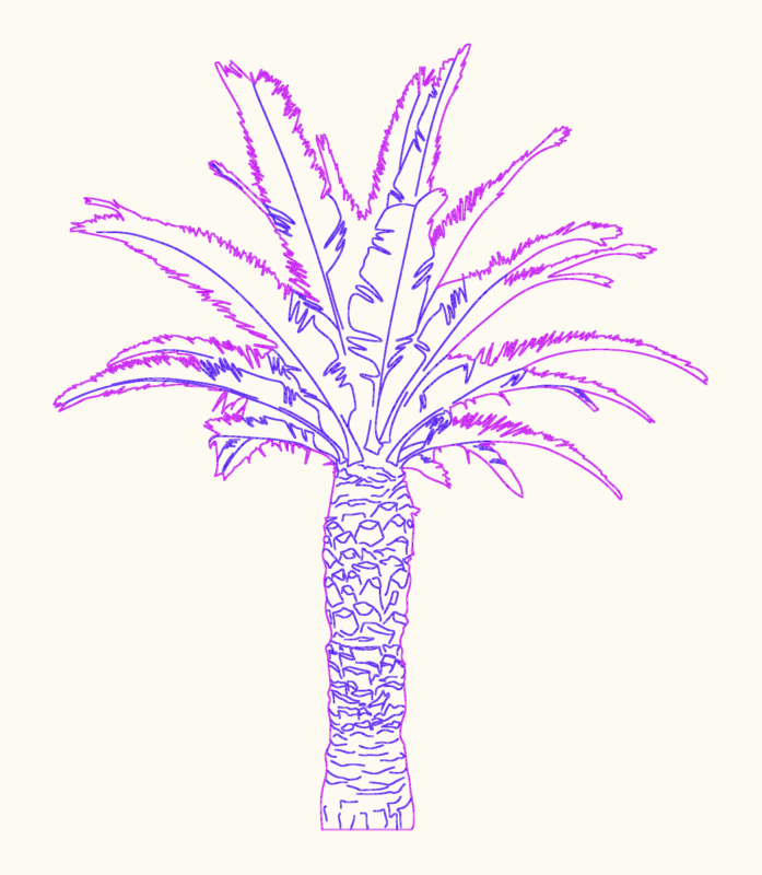 Single Palm Tree Elevation View CAD Block for Landscaping