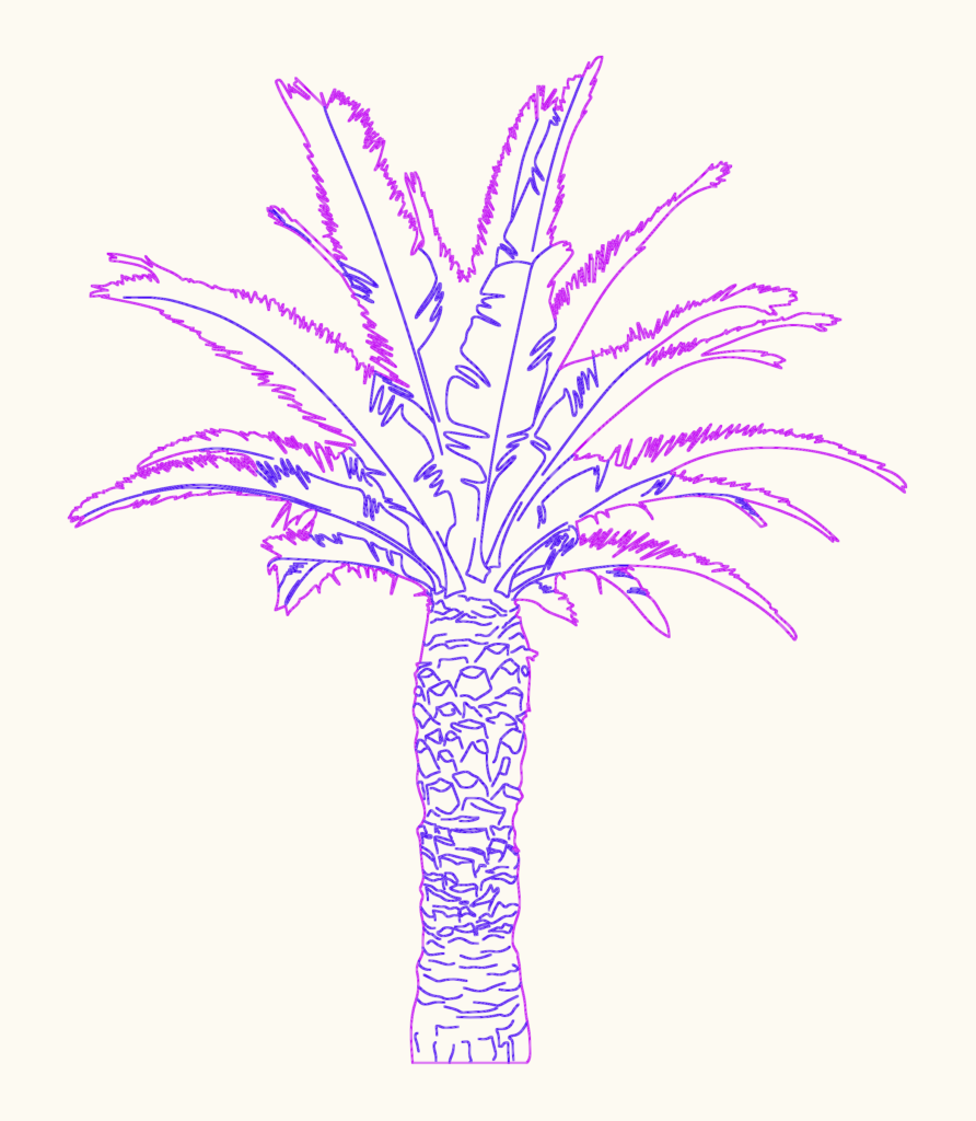 Detailed elevation drawing of a palm tree with textured trunk and wide fronds.