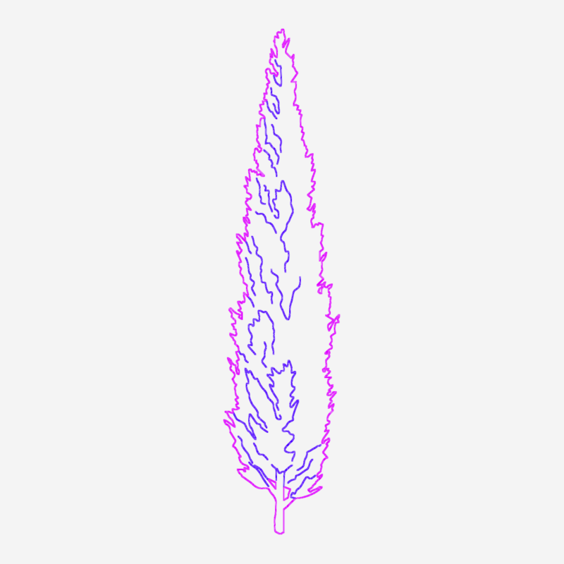 Slender Cypress Tree CAD Block Elevation for Landscape and Garden Design Projects