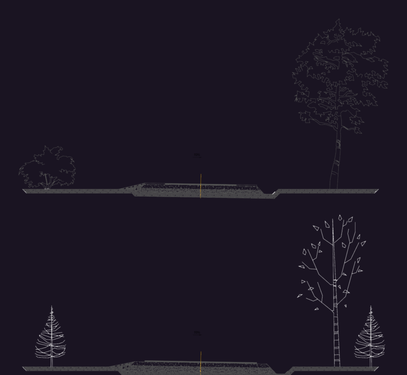 Street cross sections