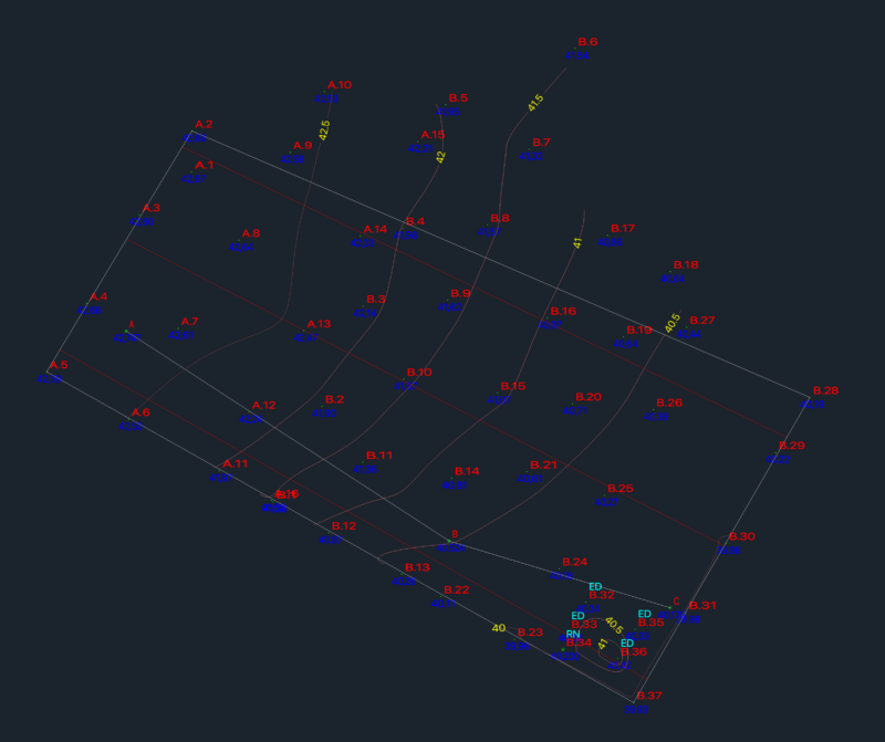 Topographic Site Survey with Spot Elevations