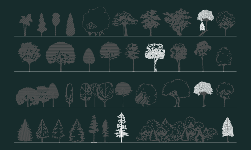 Tree Elevation DWG Blocks for Landscape Design