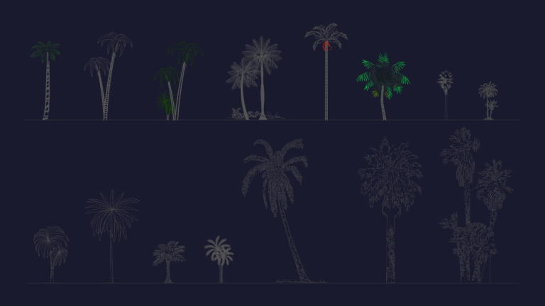 Various 2D CAD elevations showing different palm tree species and silhouettes for landscape architecture.