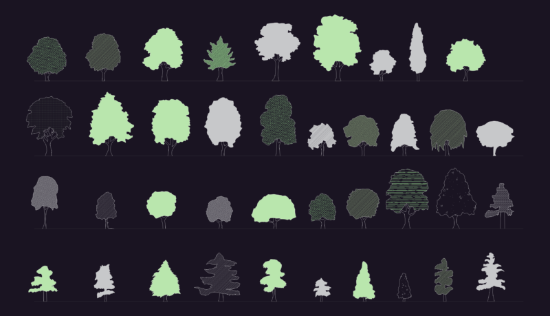 Various tree species for architectural elevation drawings