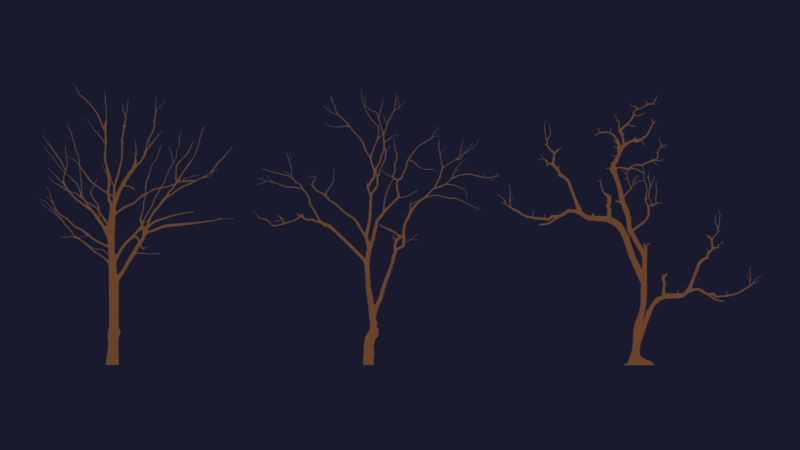 Winter trees