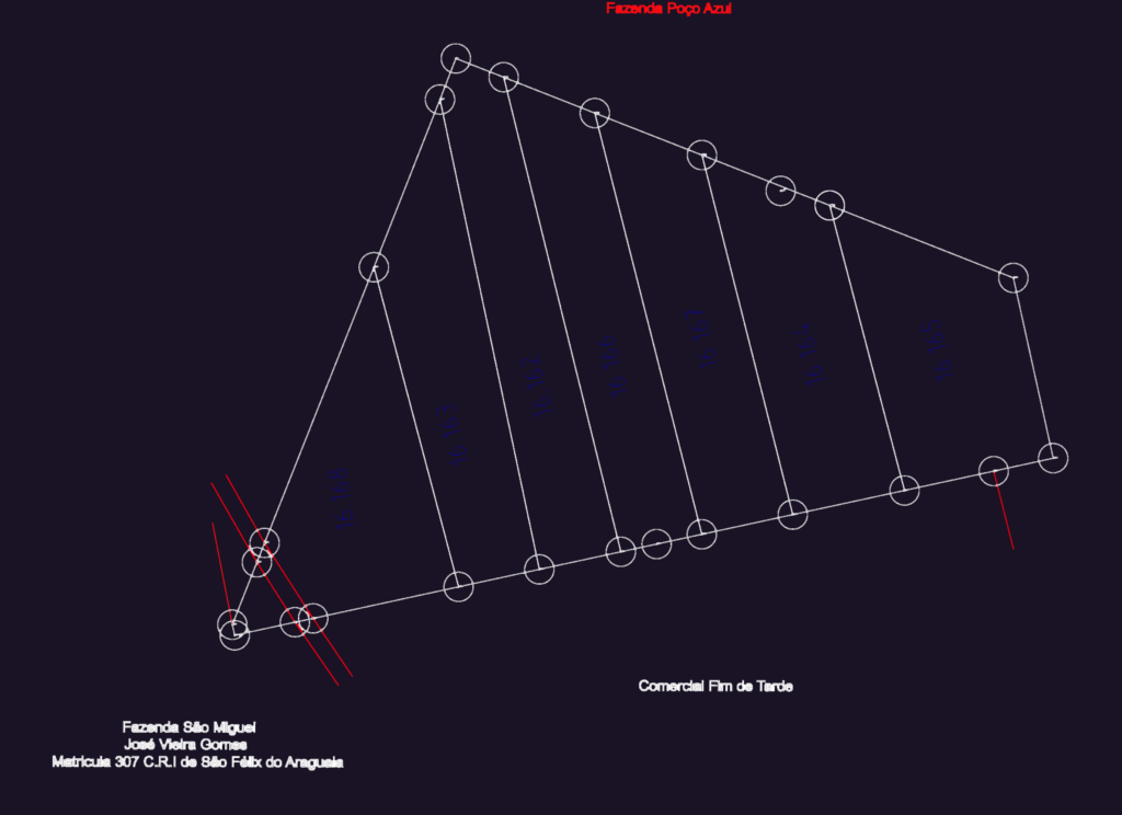 Cadastral survey map showing boundary lines and vertex points for a large rural farm property.