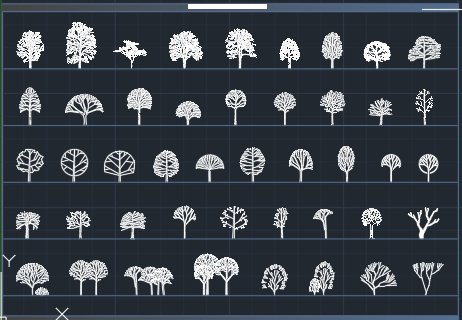 50 tree plant elevation