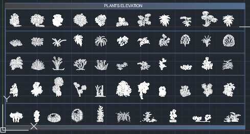 55 plant and tree elevation
