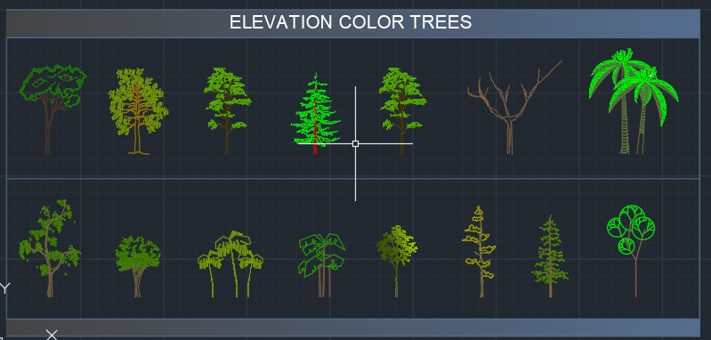 15 colur elevation tree