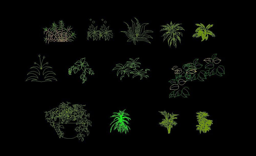 Shrubs Trees Plants Front View Elevation 2D DWG Block For AutoCAD 