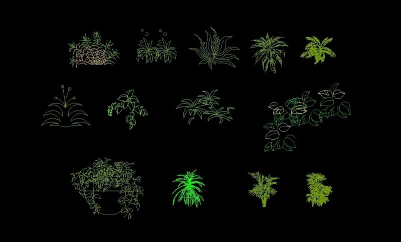 Shrubs Trees Plants Front View Elevation 2D DWG Block For AutoCAD