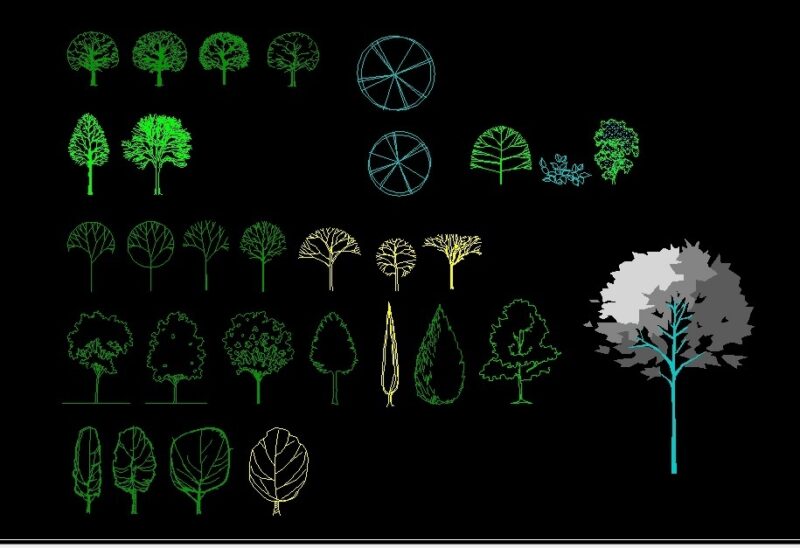 Trees And Shrubs Front And Top View Elevation And Plan 2D DWG Block For AutoCAD